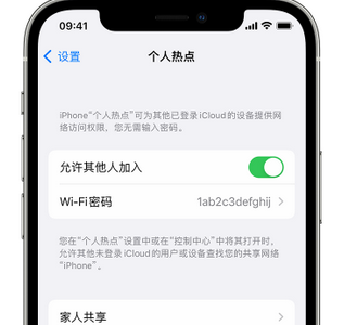 昂昂溪apple服务站点分享iPhone上个人热点丢失了怎么办 