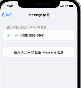 昂昂溪apple维修iPhone上无法正常发送iMessage信息 