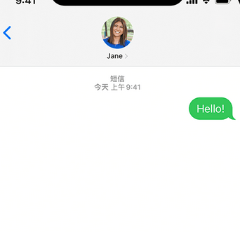 昂昂溪apple维修iPhone上无法正常发送iMessage信息