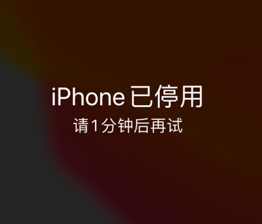 昂昂溪苹果手机维修分享:iPhone 显示“不可用”或“已停用”怎么办？还能保留数据吗？ 