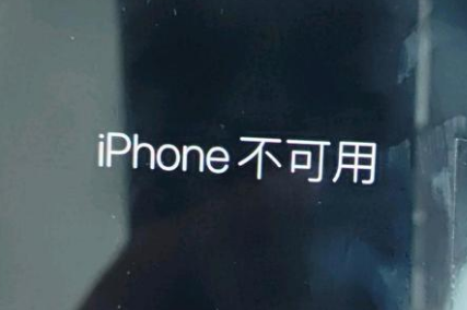 昂昂溪苹果服务网点分享锁屏界面显示“iPhone 不可用”如何解决 