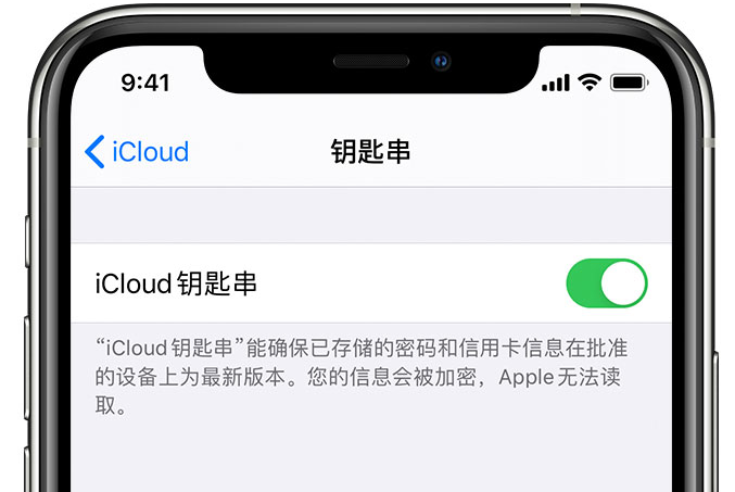 昂昂溪苹果手机维修分享在 iPhone 上开启 iCloud 钥匙串之后会储存哪些信息 