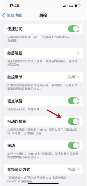 昂昂溪苹果手机维修分享iPhone手机如何设置摇一摇删除文字 