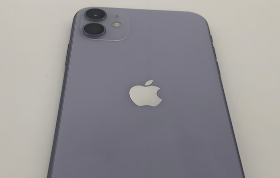 昂昂溪苹果11系统维修分享iPhone11手机系统崩溃无法开机如何解决